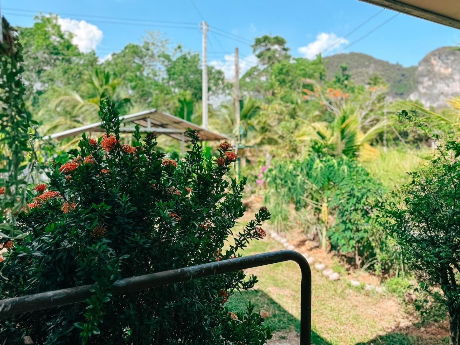 Ao Luek Homie Homestay Krabi town Dış mekan fotoğraf